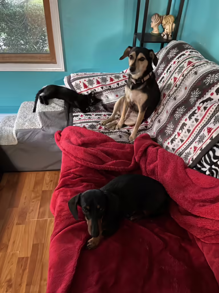 Daisy, Zoe, and Sabrina