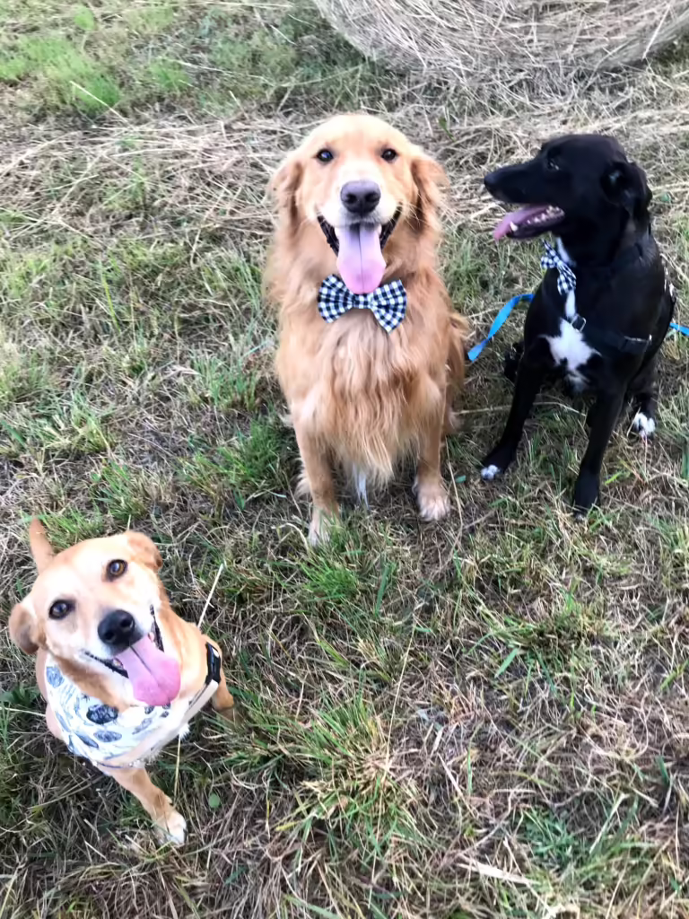 Indy, Riley and Rumple