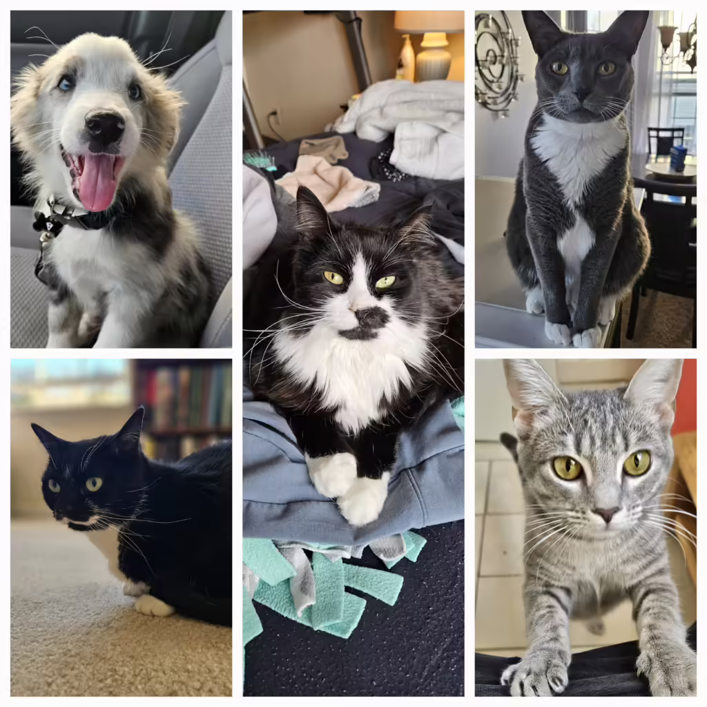 Coop, Chaz, GG, Char, Soki