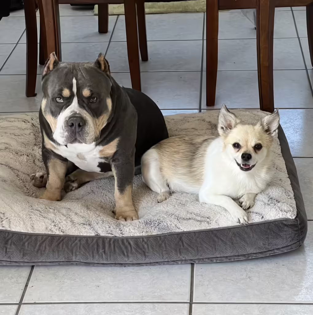 Zeus and Gia