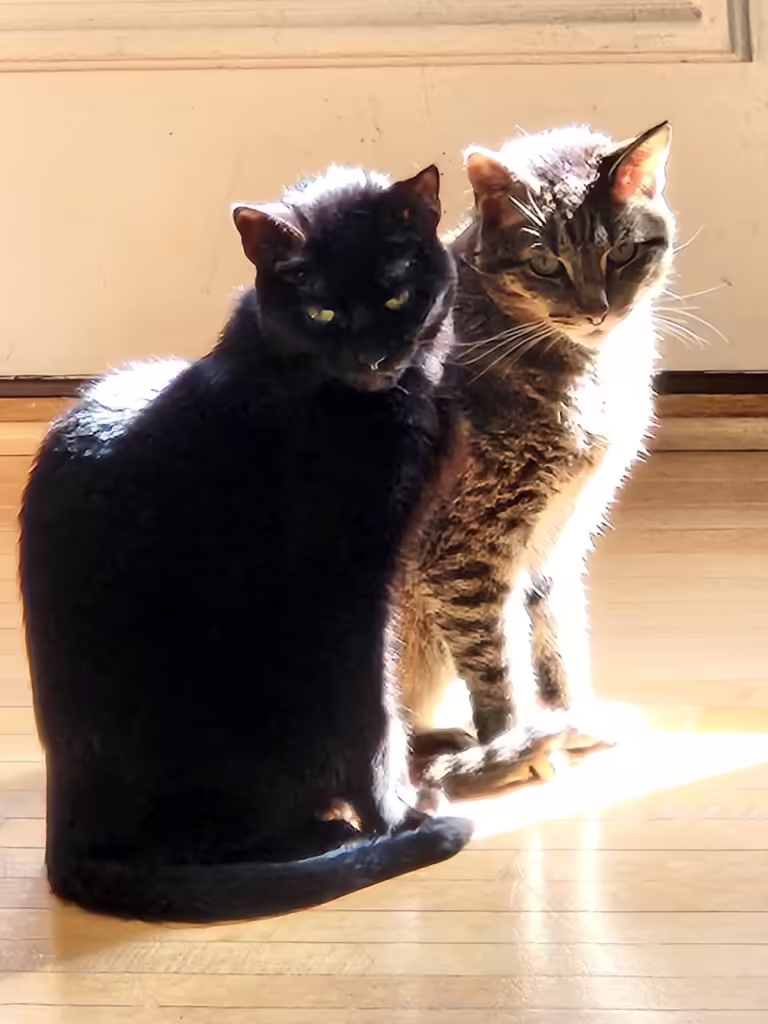 Jonathan and Burrito