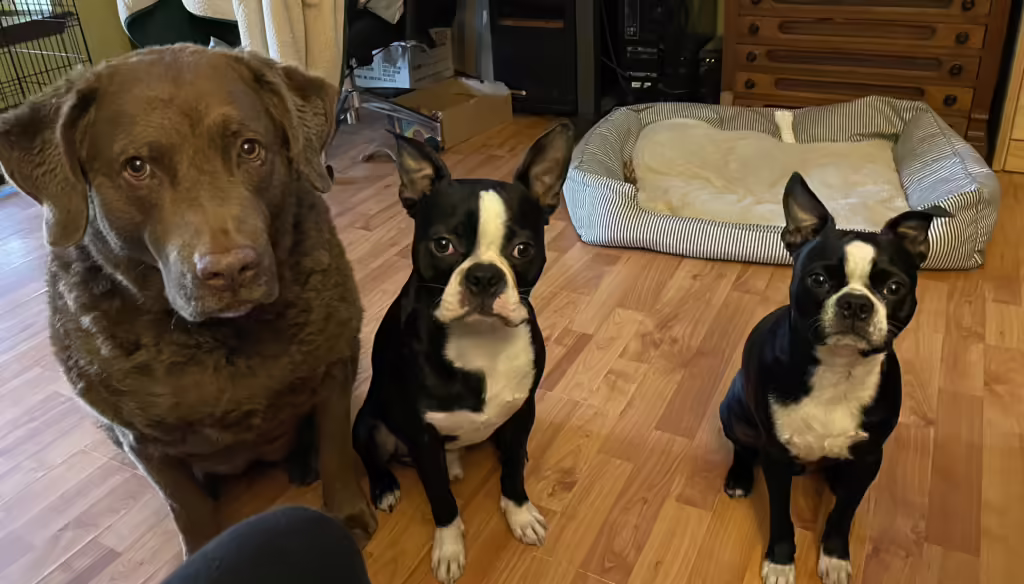 Sadie, Edgar, and Danny