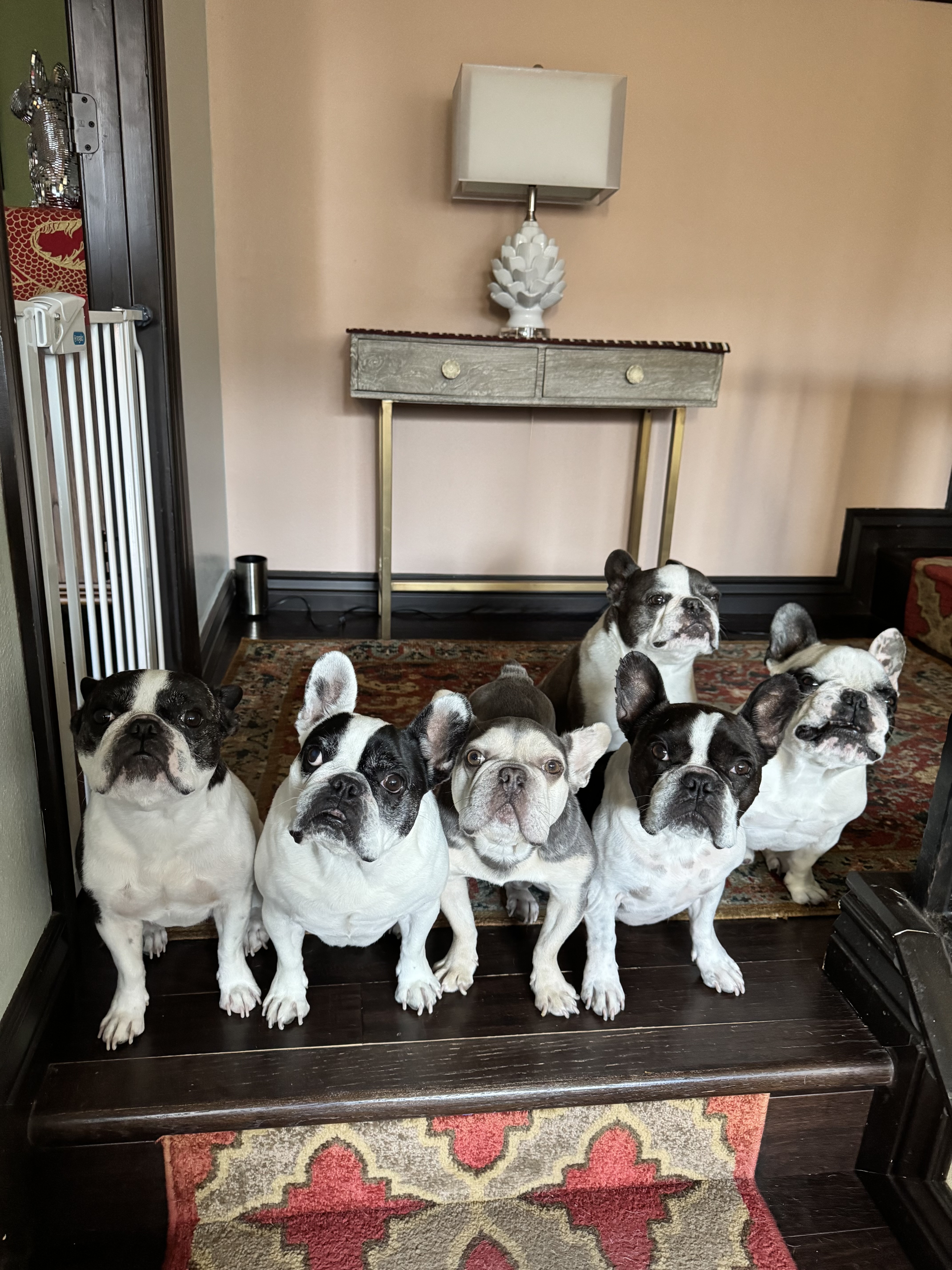 Niobe, Brutus, Rufus, Quintus, Titus & Lucius