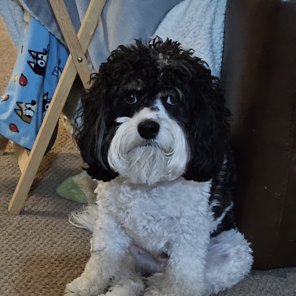 Milo