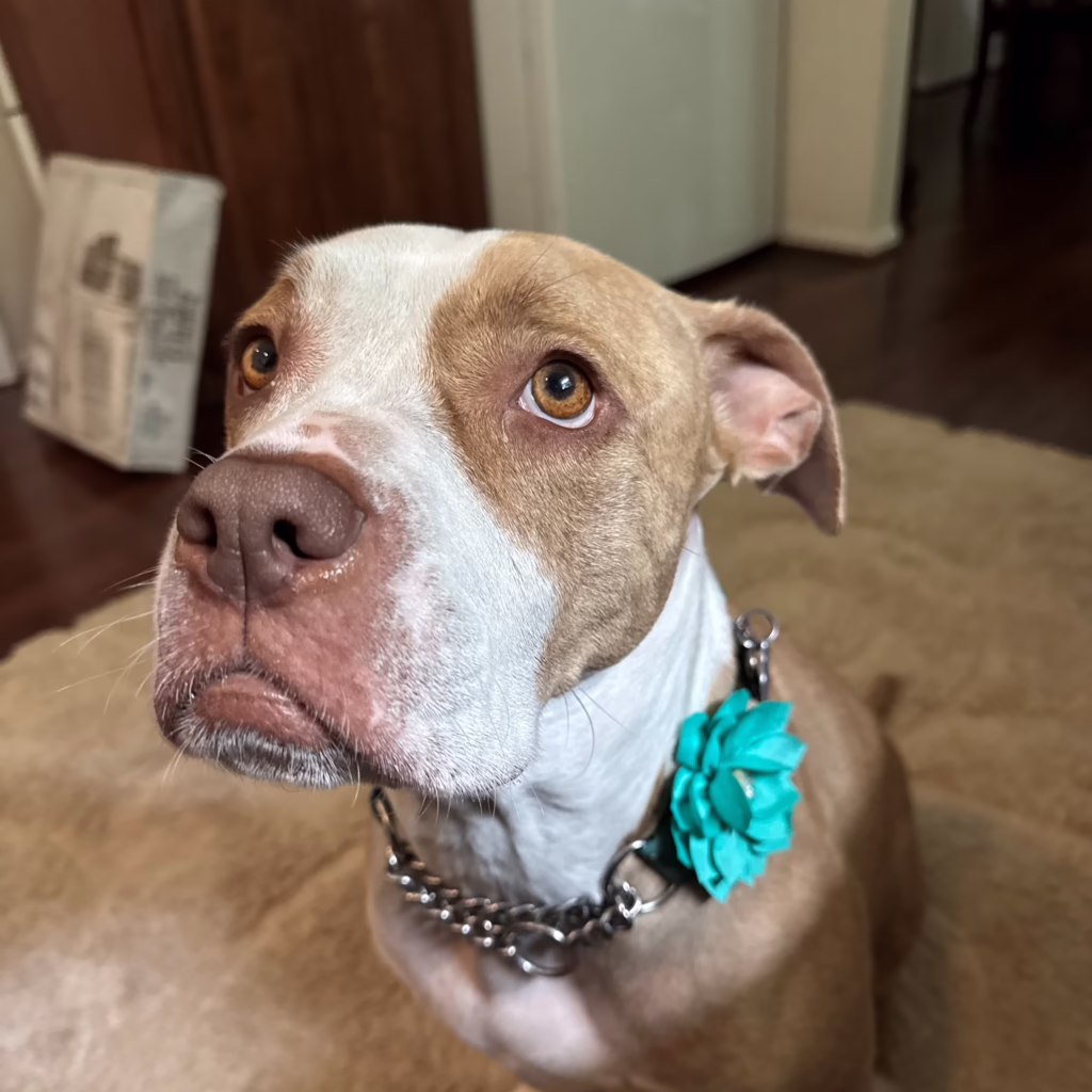 Lola Mae