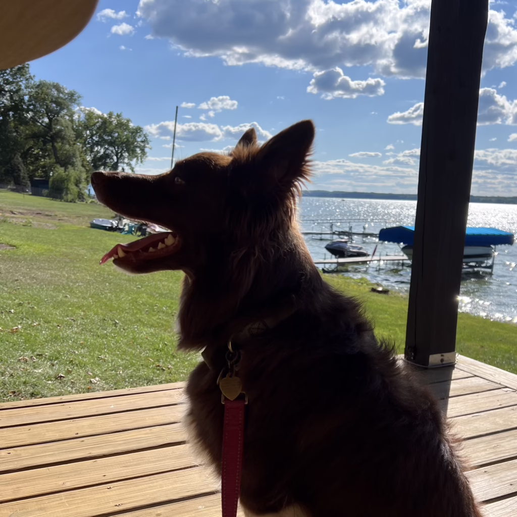 Lucy